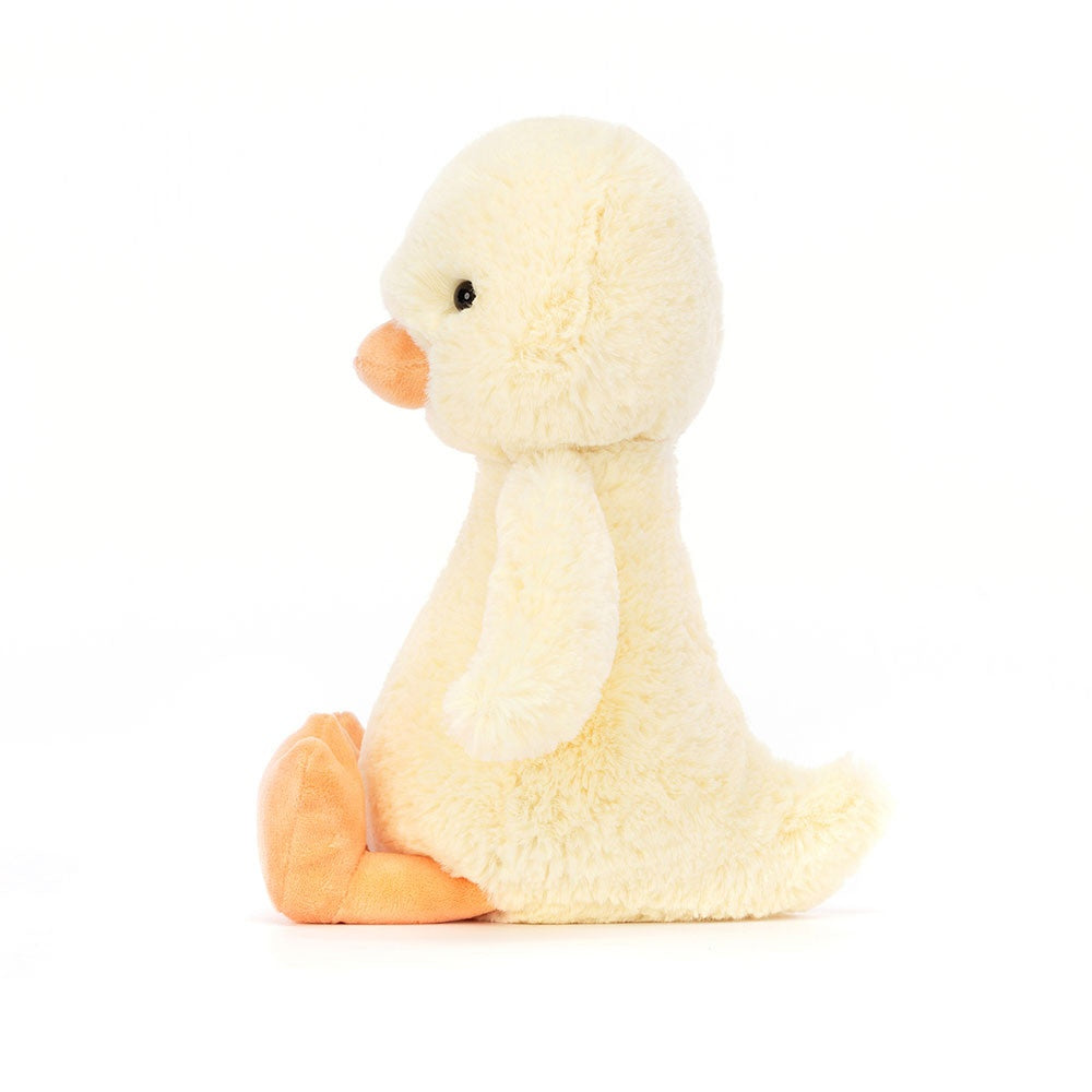 Bashful Duckling 
