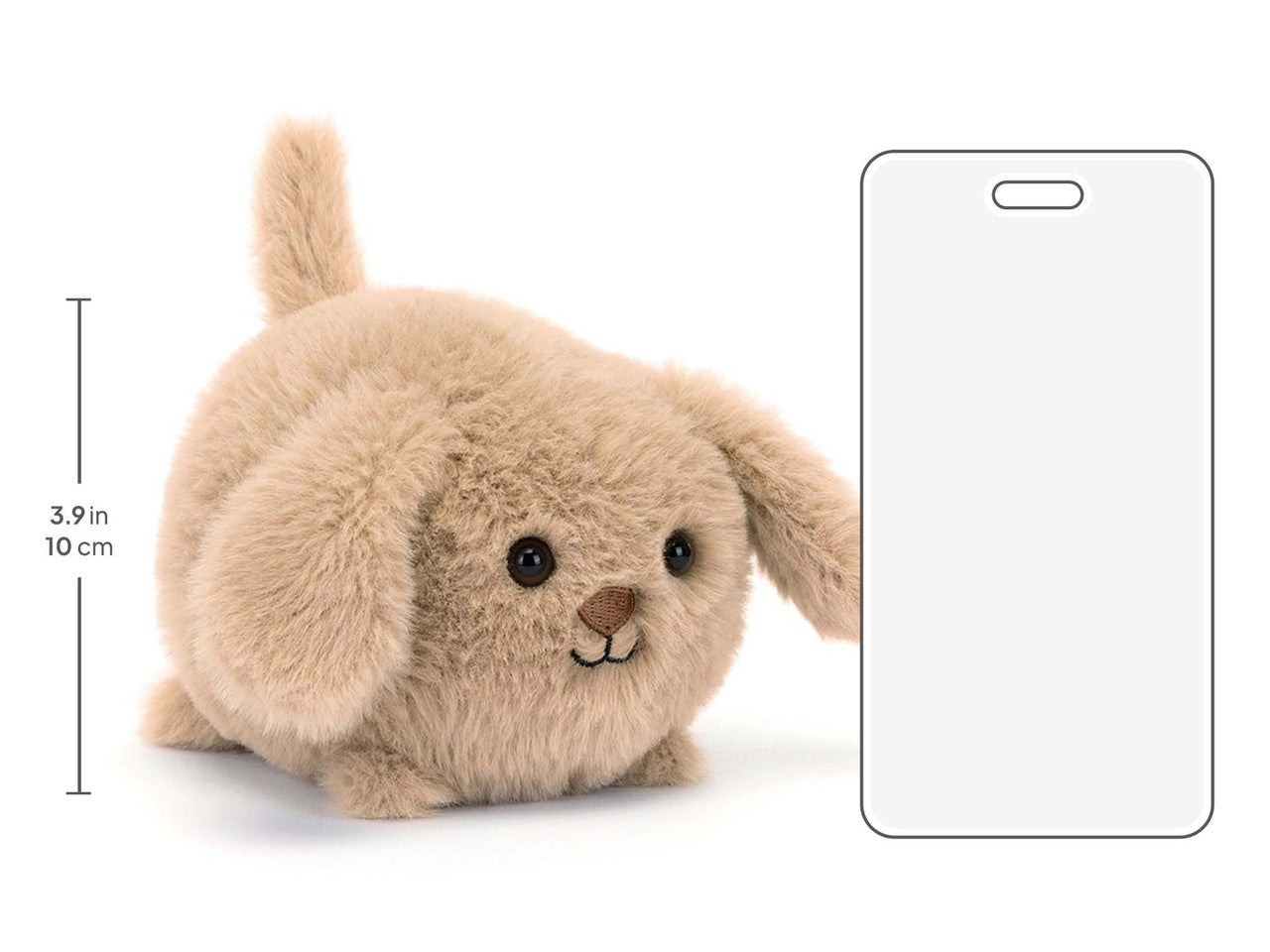 Caboodle Puppy