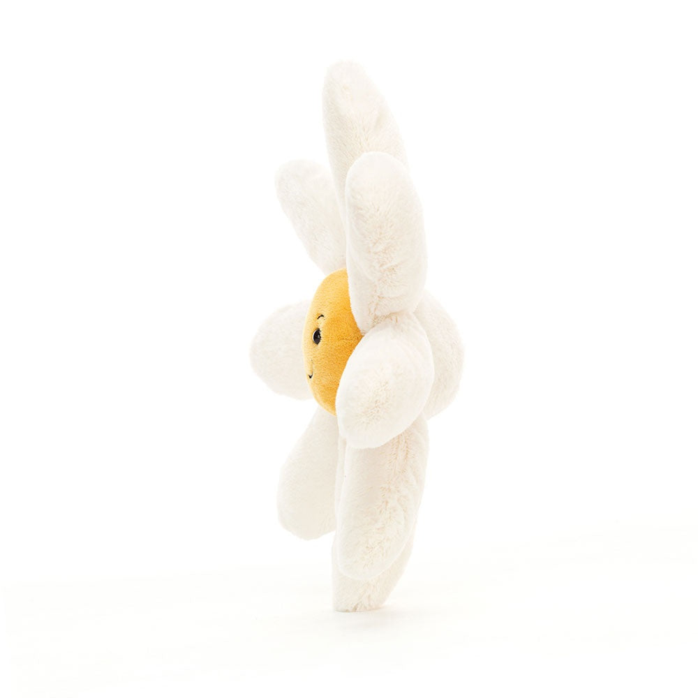 Fleury Daisy